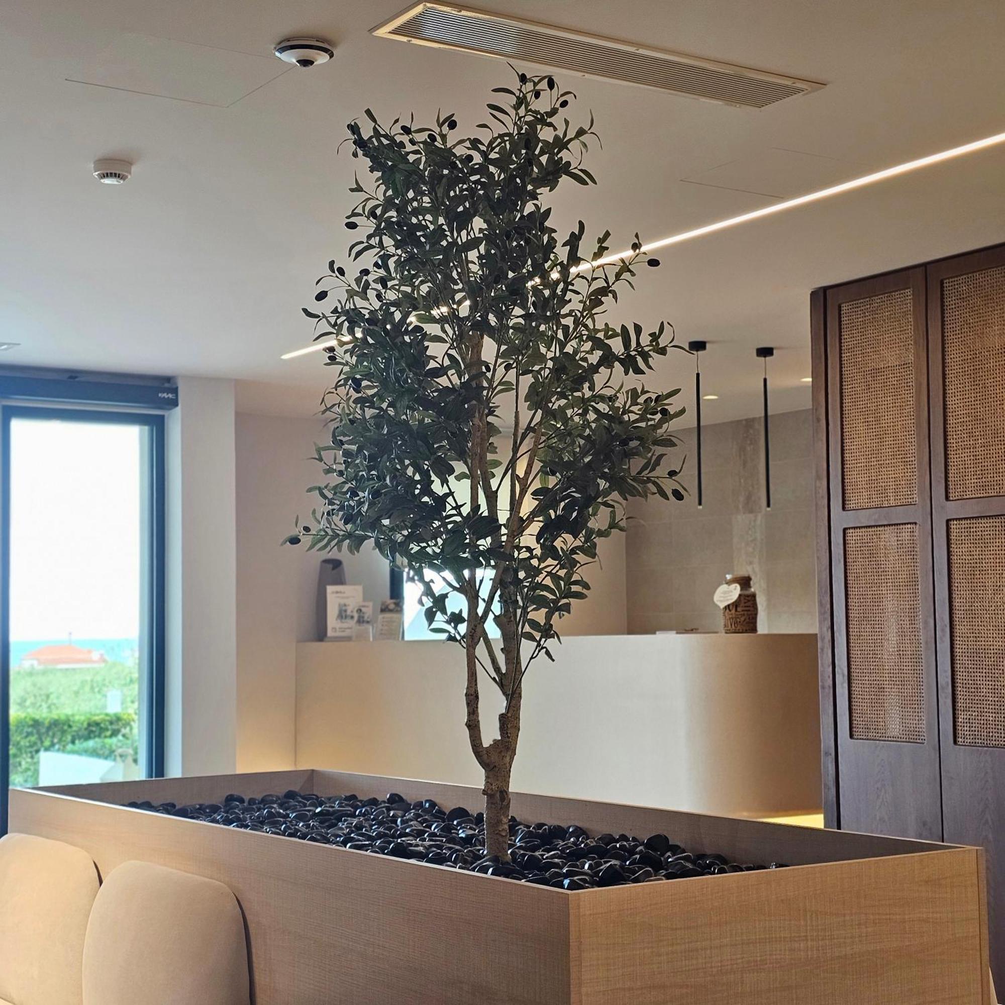 Ocean Beach Hotel สกาลา โปเตมิอัส ภายนอก รูปภาพ